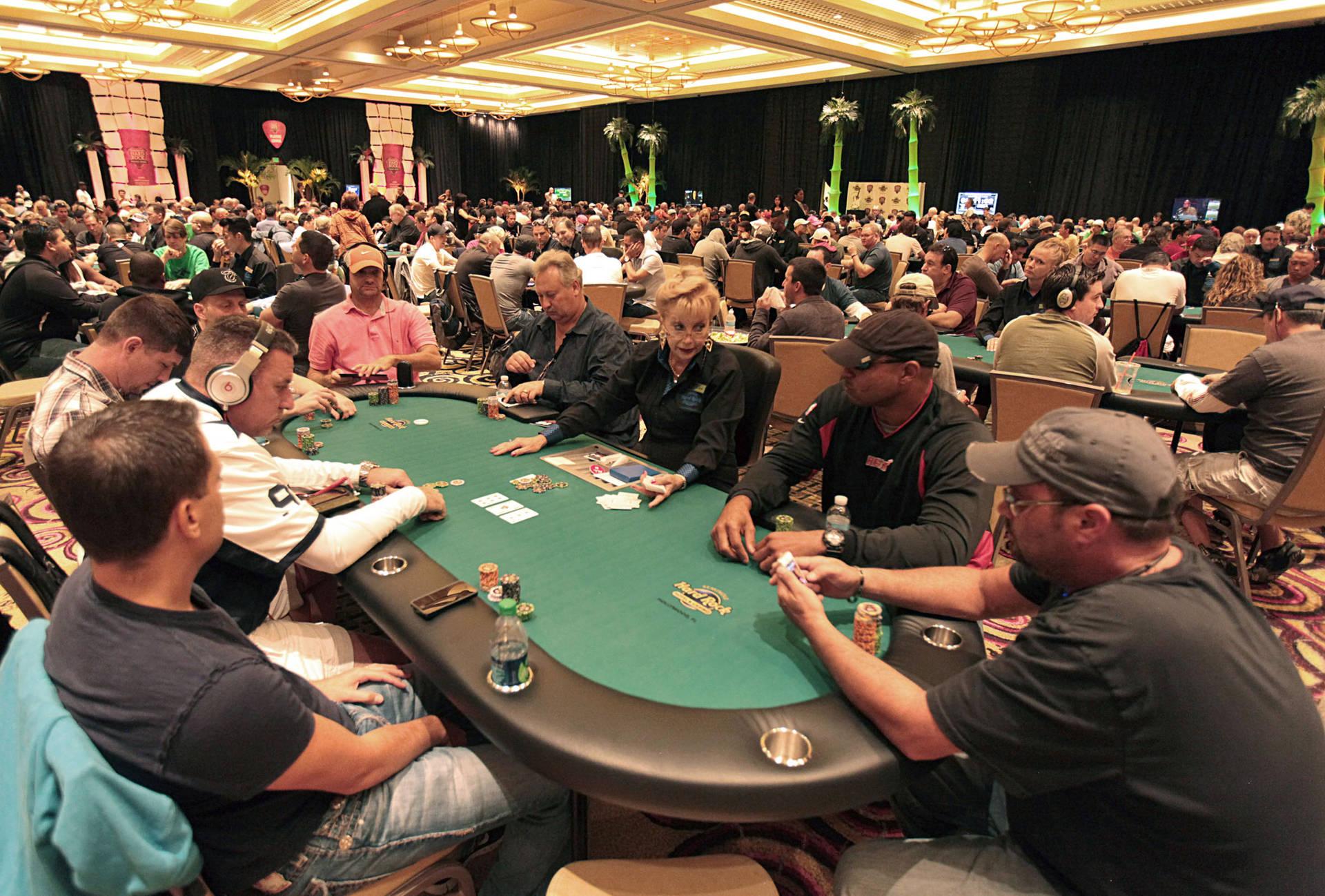 Khám phá casino reviews nz cùng những đánh giá mới nhất về các casino hàng đầu NZ